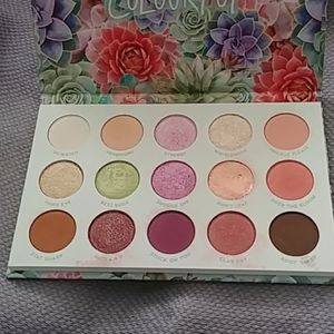 Colourpop Garden Variety palette